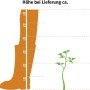 Illustration: GROW by OBI Bio Johannisbeere Titania, Größe bei Lieferung ca. 20-30cm.