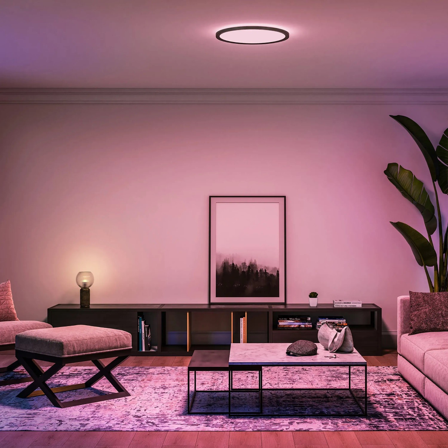 Philips Hue Tento LED-Panel in Schwarz, runde Deckenleuchte mit Farbwiedergabe im Wohnraum.