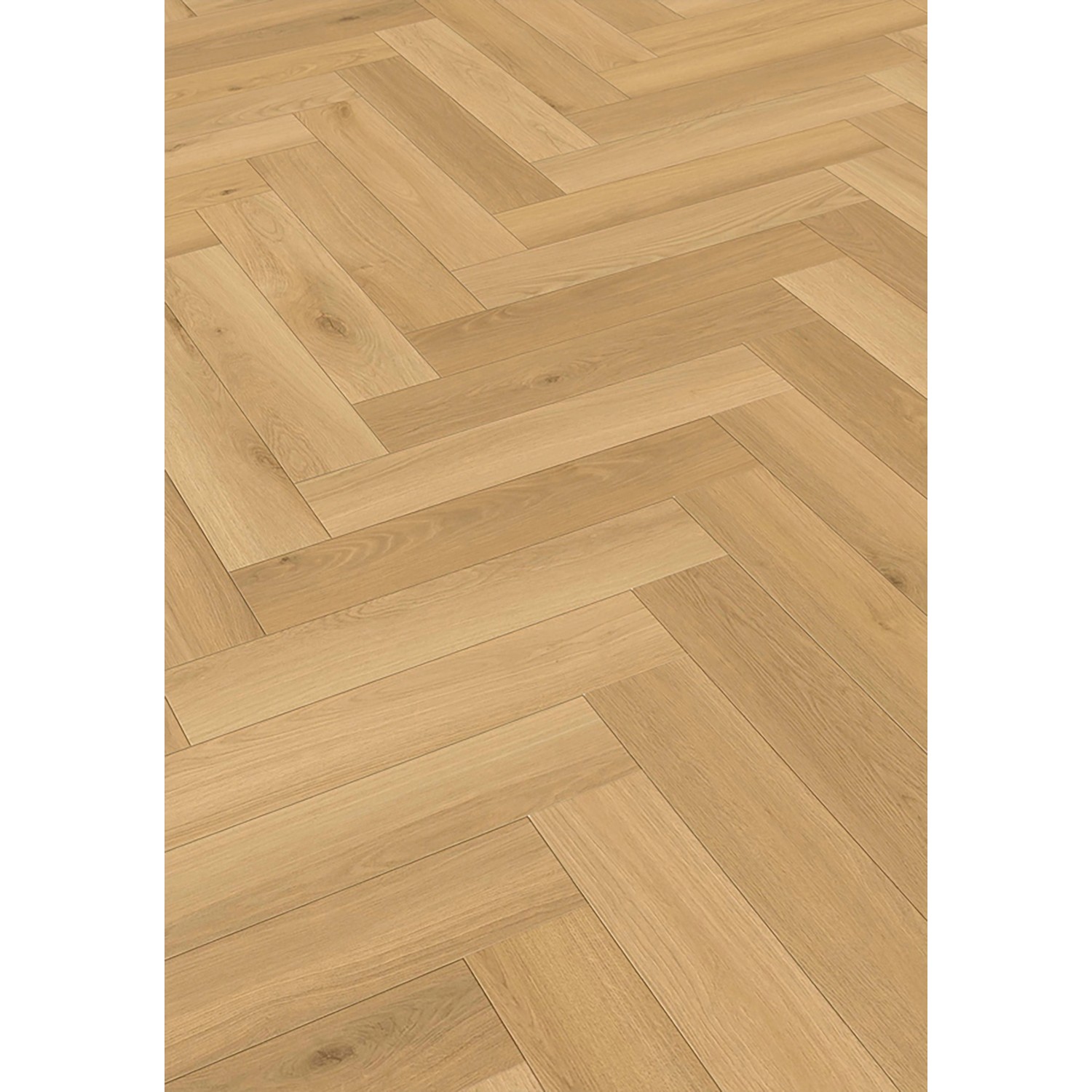 Check One Click-Vinylboden Buchäcker Oak Herringbone günstig online kaufen