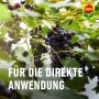 Compo Blattlaus-frei AF Bio für Kräuter und Gemüse, Anwendung an Weintrauben.