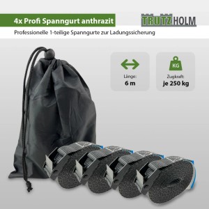 TRUTZHOLM 4er Set Profi Spanngurte, 6m, 250kg, anthrazit, mit Tasche.