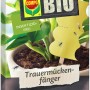 Compo BIO Trauermückenfänger, 5 Stück. Gelbe Leimfalle für Zimmerpflanzen, insektizidfrei.