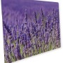 Myspotti Mini-Spritzschutzplatte Lavendel, Küchenrückwand mit Lavendelblüten.