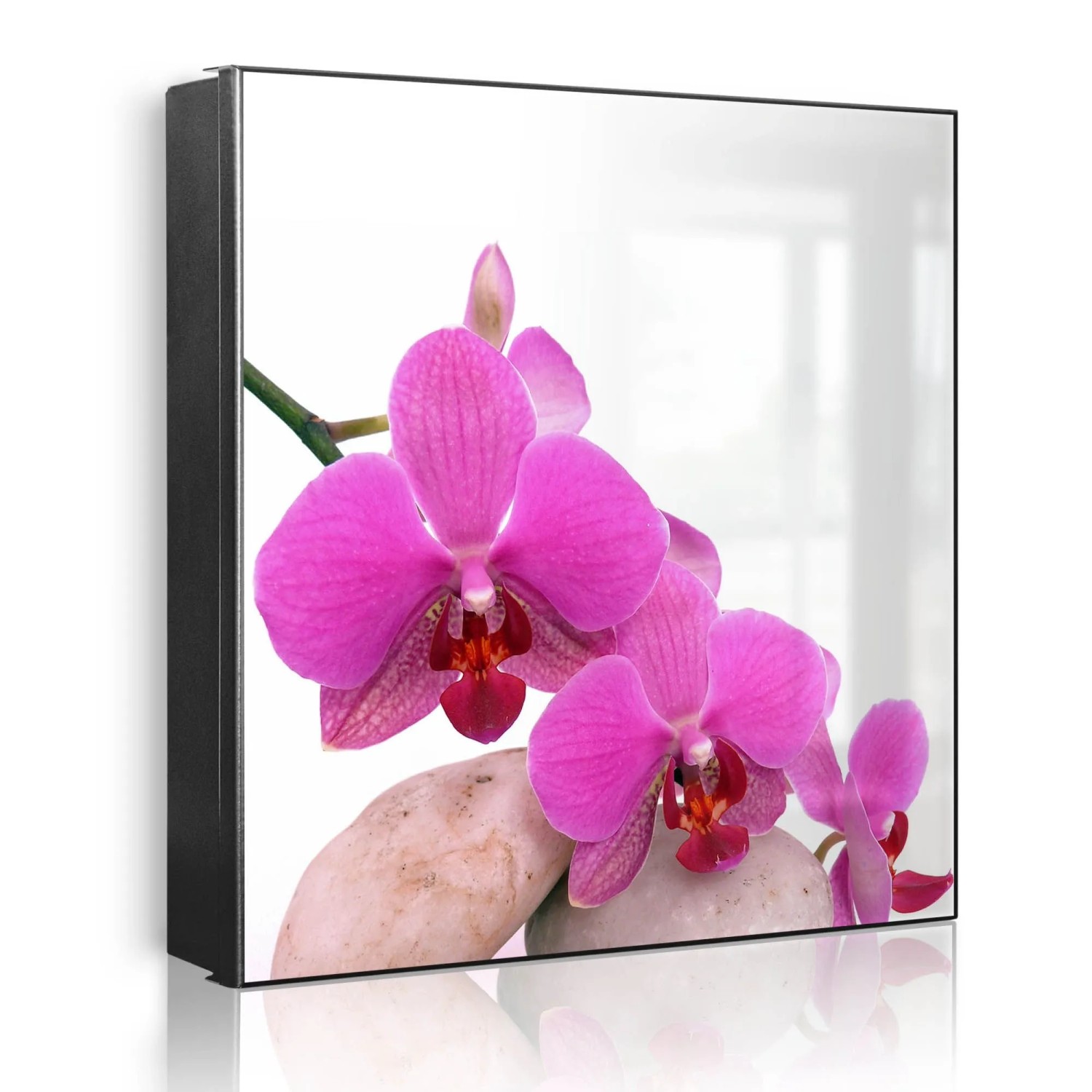Banjado Großer Schlüsselkasten Metall 30x30cm Schwarz Scharnier Links 50 Haken Beschreibbar Magnetisch Motiv Orchidee