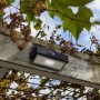 Lutec LED-Solarleuchte Arrow mit Bewegungsmelder an einer Pergola mit Weinreben.