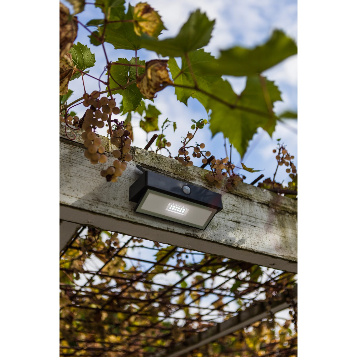 Lutec LEDSolarleuchte mit Bewegungsmelder Arrow kaufen bei OBI