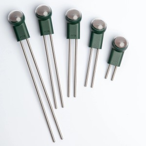 Fyta Bodenstäbe für 6 in 1 Pflanzensensor, 20cm, aus rostfreiem Edelstahl.