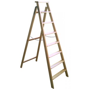 PROREGAL Holzleiter mit 6 Stufen und Ablagebrett, ideal für Putzarbeiten.