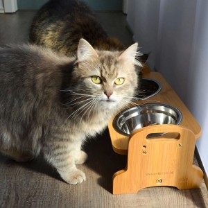 DuneDesign Hundenapf/Katzennapf mit 4 Edelstahlschalen auf Bambus Futterbar, Katze frisst.