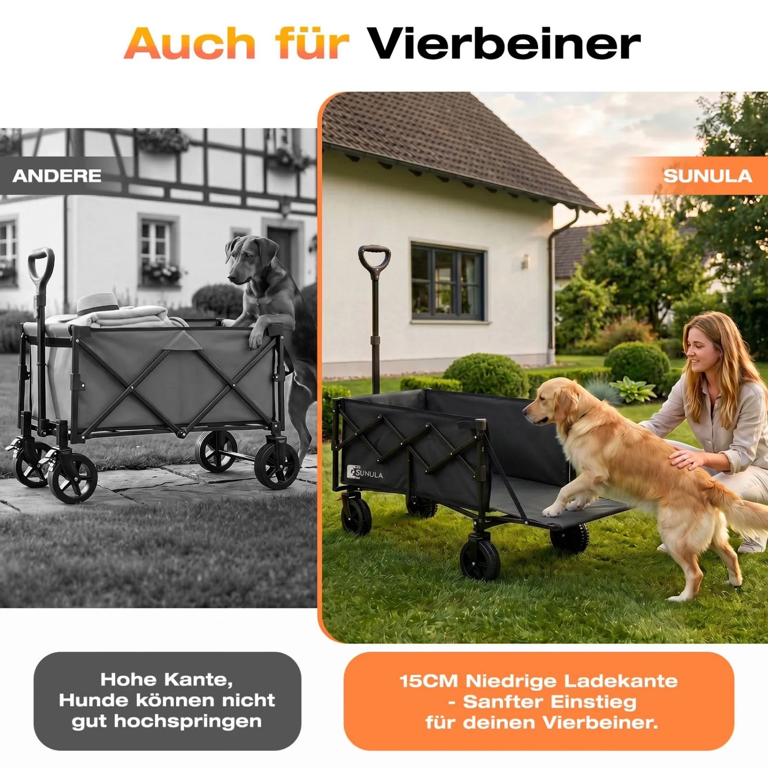 Schwarzer Sunula Falt-Bollerwagen mit niedriger Ladekante (15cm), Hund steigt leicht ein. Im Vergleich zu hohem Wagen.