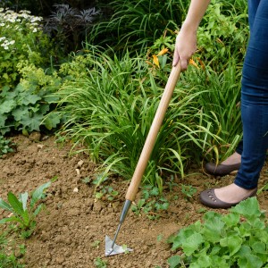 Kent & Stowe Ziehhacke mit Stiel im Einsatz zur Gartenarbeit und Unkrautentfernung.