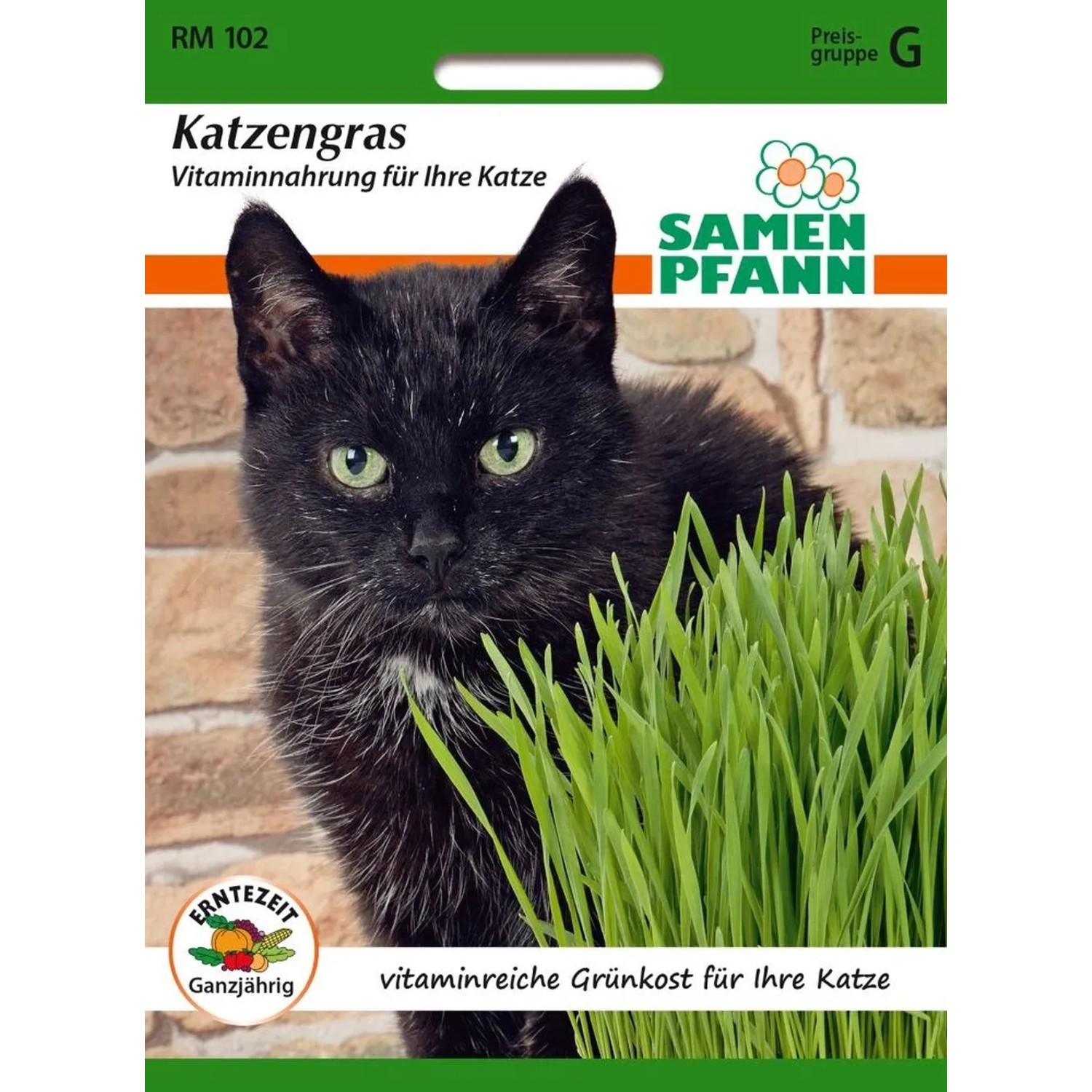 SAMEN PFANN Katzengras Vitaminreich