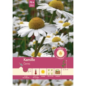 Pabst Keimkraft Kamille Ceres Saatgut: Blühende Kamille mit weißen Blütenblättern und gelber Mitte.