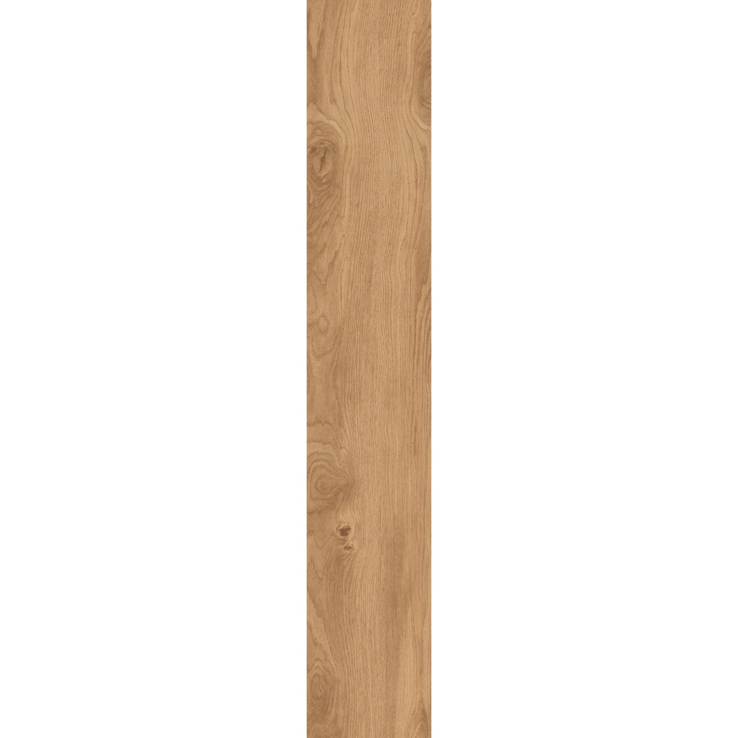 Bodenfliese Feinsteinzeug 20 cm x 120 cm günstig online kaufen