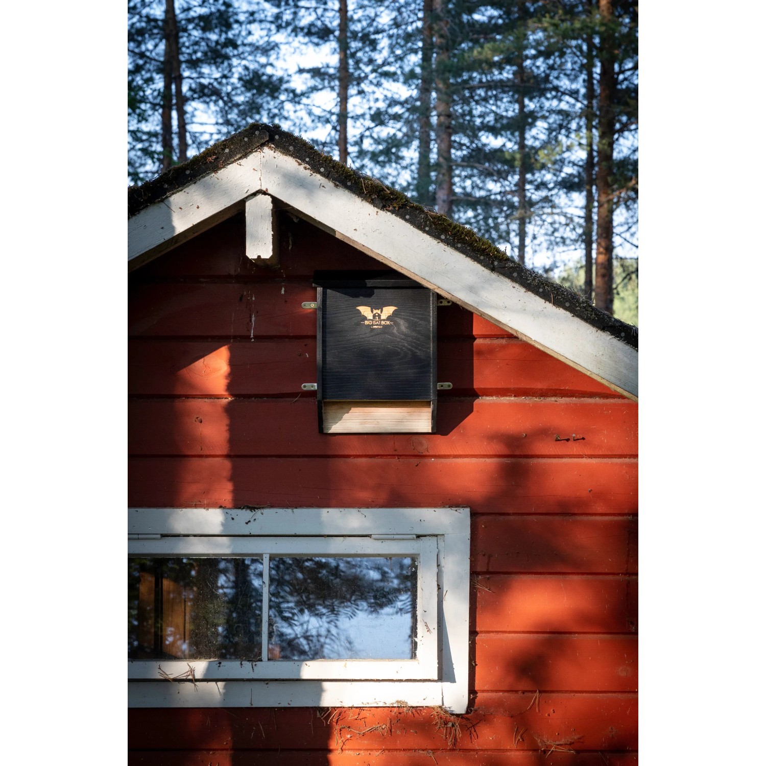 Schwarzes Fledermaushaus aus Zedernholz für bis zu 75 Fledermäuse am roten Haus.
