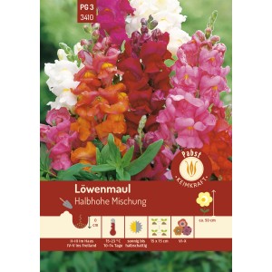 Pabst Löwenmaul 'Halbhohe Mischung' Samen: Blüten in Gelb, Rosa, Rot und Weiß.
