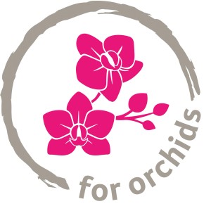 Symbolbild: Orchideenblüte im Kreis, passend zum Scheurich Orchideentopf.