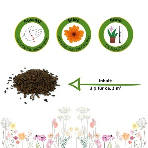 Deine Gartenwelt Phacelia Bienenfreund Samen: Aussaat, Blüte und Höhe. Inhalt: 3g.