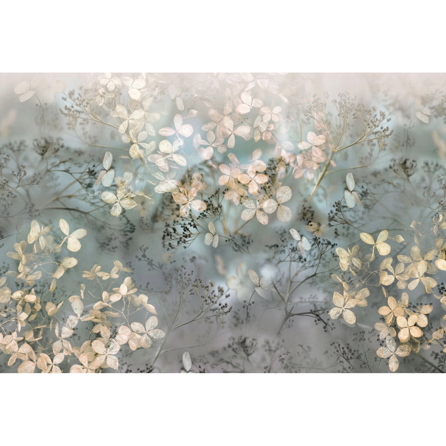 Erismann Fototapete Guido Maria Kretschmer Holunderblüten Beige 4,0m x 2,7m