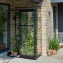 Halls Anlehngewächshaus Qube Lean-to 24, schwarz, mit Pflanzen. Ideal für Garten & Terrasse.