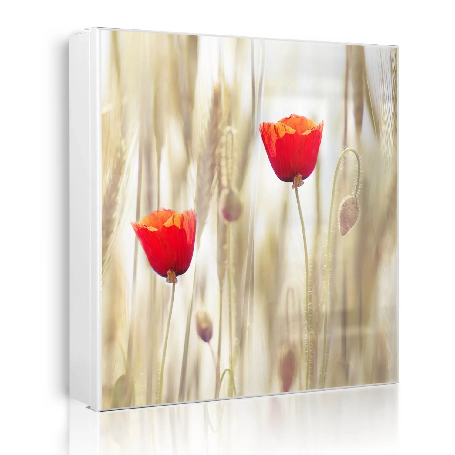Banjado Großer Schlüsselkasten Metall 30x30cm Weiß Scharnier Links 50 Haken Beschreibbar Magnetisch Motiv Klatschmohn