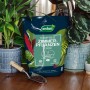 Westland Zimmerpflanzenerde Torffrei mit Seramis 4 l_3