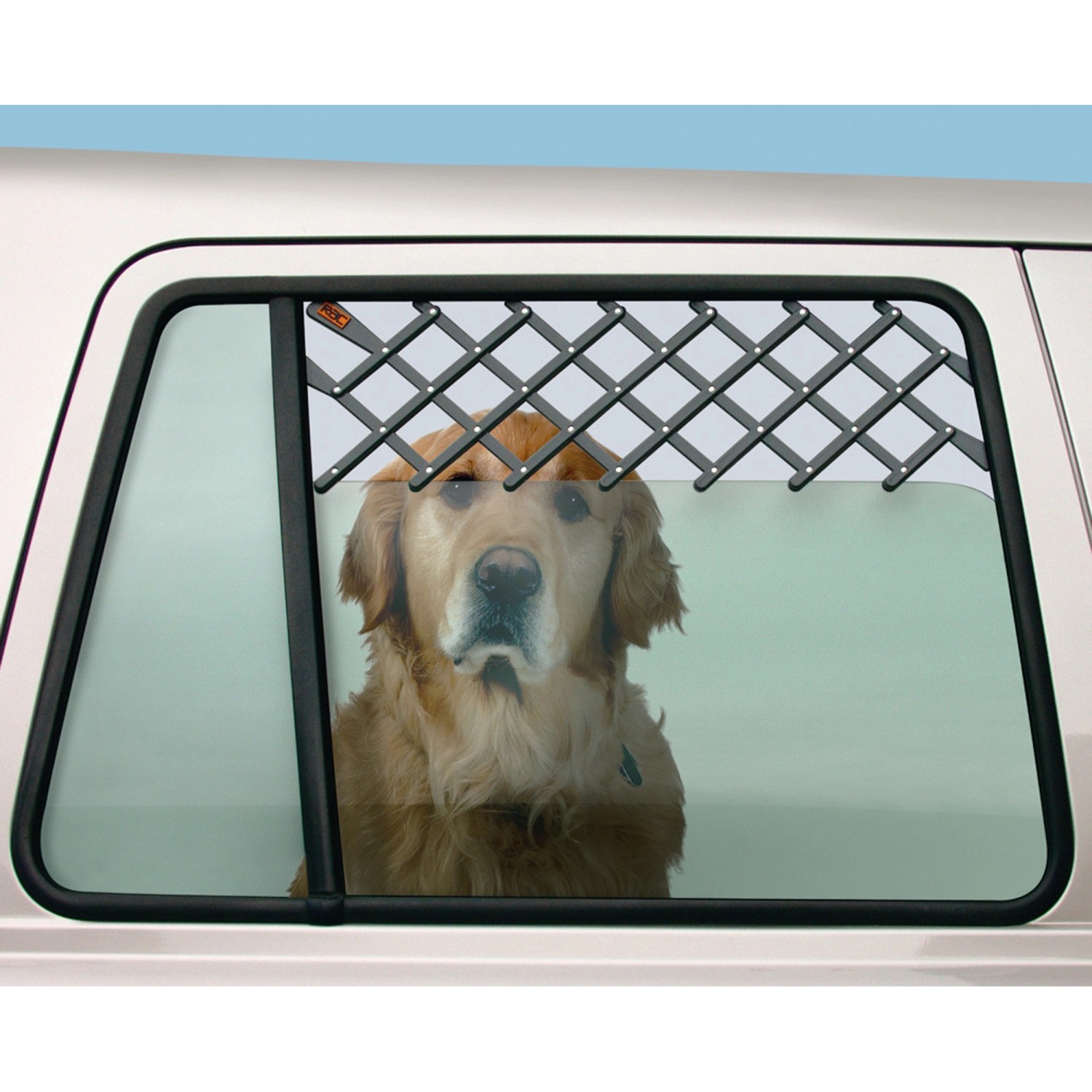 Heim RAC Hundegitter für Autofenster, ausziehbar bis 60 cm, mit Hund im Auto.