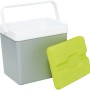 Kühlbox, 24 Liter, perlgrau und grün, mit Tragegriff und Kühlakku.