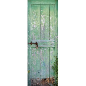 Komar Fototapete Gartentür, grüne Holztür mit Schloss, 100x280 cm, für eine natürliche Wandgestaltung.