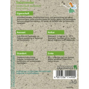 Saatguttütchen Grüne Fee Salatrauke: Aromatisch, schnellwachsend für Garten, Balkon & Fensterbank.