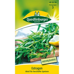 Quedlinburger Estragon mehrjährig: Aromatische Kräutersamen für Beet, Topf und Balkon.
