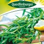 Quedlinburger Estragon mehrjährig: Aromatische Kräutersamen für Beet, Topf und Balkon.