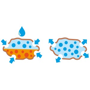 Grafik: Seramis Orchideensubstrat – Wasseraufnahme und -abgabe mit blauen Pfeilen und Tropfen dargestellt.