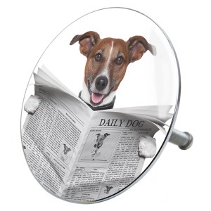 Sanilo Badewannenstöpsel mit Hunde-Motiv, der Zeitung liest. Lustiger Abflussstöpsel für Badewanne.