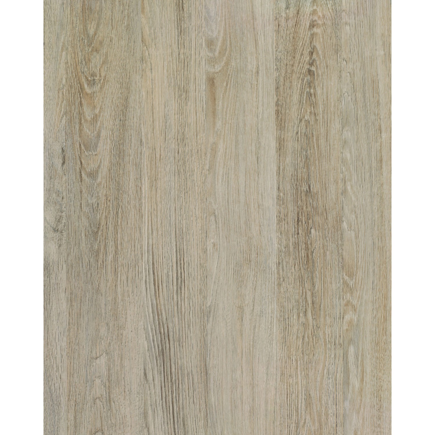 d-c-fix Klebefolie Santana Oak Kalk 200 cm x 67,5 cm