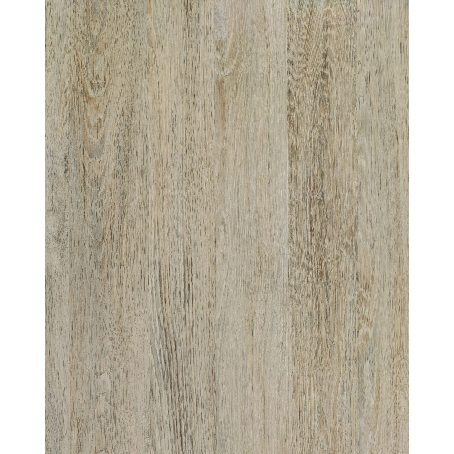 d-c-fix Klebefolie Santana Oak Kalk 200 cm x 67,5 cm günstig online kaufen