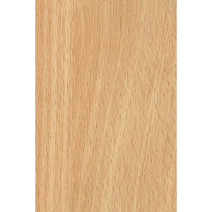 Buche HDF Rückwandplatte, 280x207x0,3 cm, für Möbel- und Innenausbau.