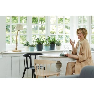 Szene mit Elho Blumentöpfen Brussels Rund in verschiedenen Farben auf einer Fensterbank.