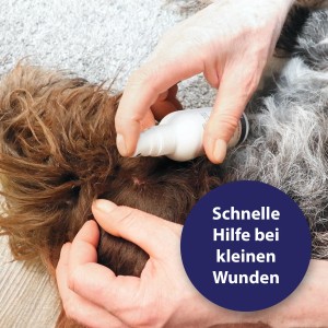 Anwendung von Canosept Wundspray auf der Haut eines Hundes. Das Spray dient zur optimalen Wundversorgung.