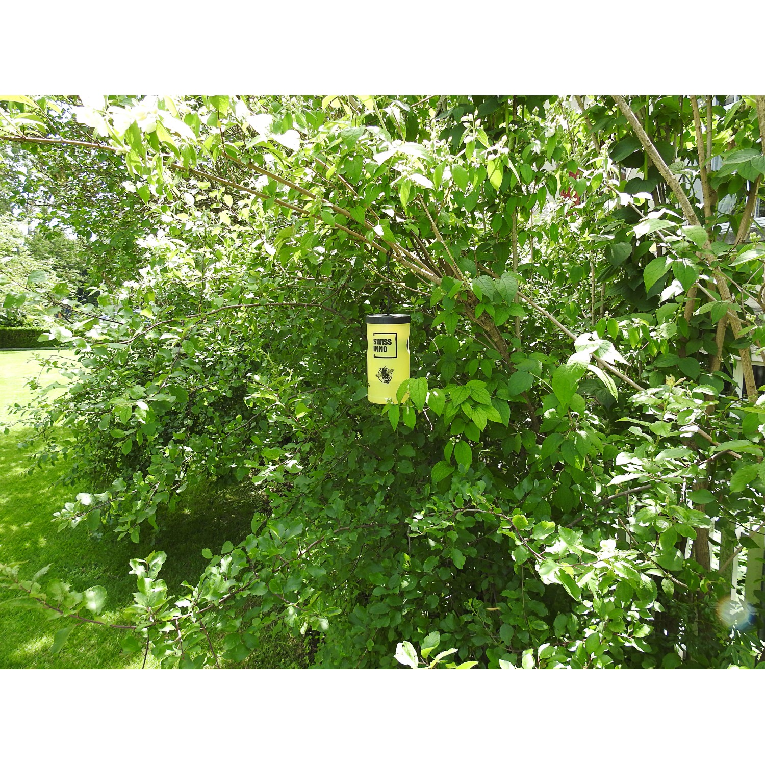 Swissinno Wespenfalle-Set inkl. Köder_2