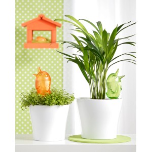 Scheurich Bördy S Bewässerungsfiguren in Orange und Grün in weißen Blumentöpfen.