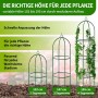 TTL Garden Obelisk Rankhilfe 2er Set, XL, 195cm, pulverbeschichtet, für Rosen und Kletterpflanzen.