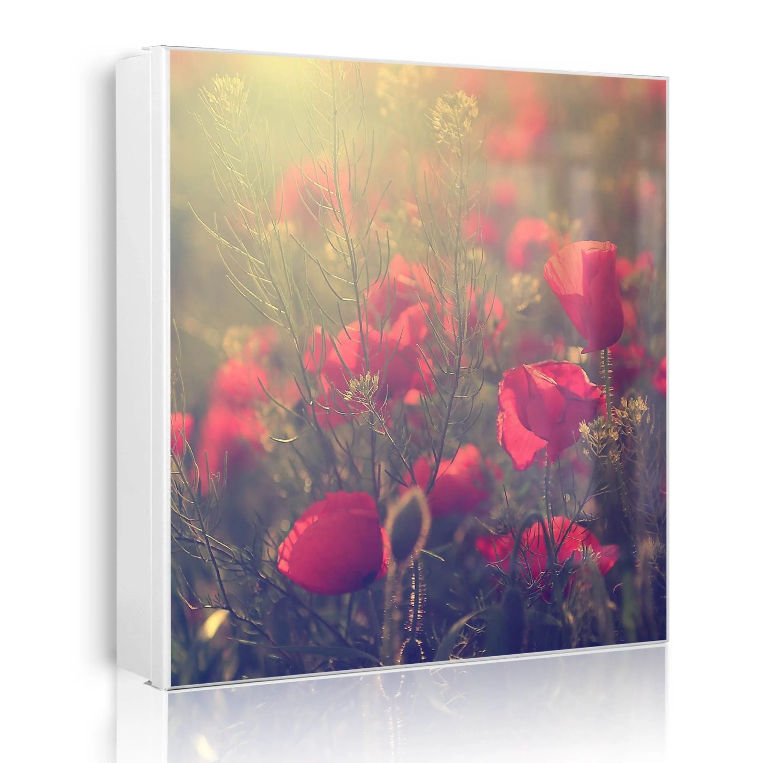 Banjado Großer Schlüsselkasten Metall 30x30cm Weiß Scharnier Links 50 Haken Beschreibbar Magnetisch Motiv Mohn