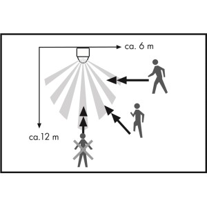 Schema des Bewegungsmelders 180°: Erfassungsbereich und Reichweite (6-12m).