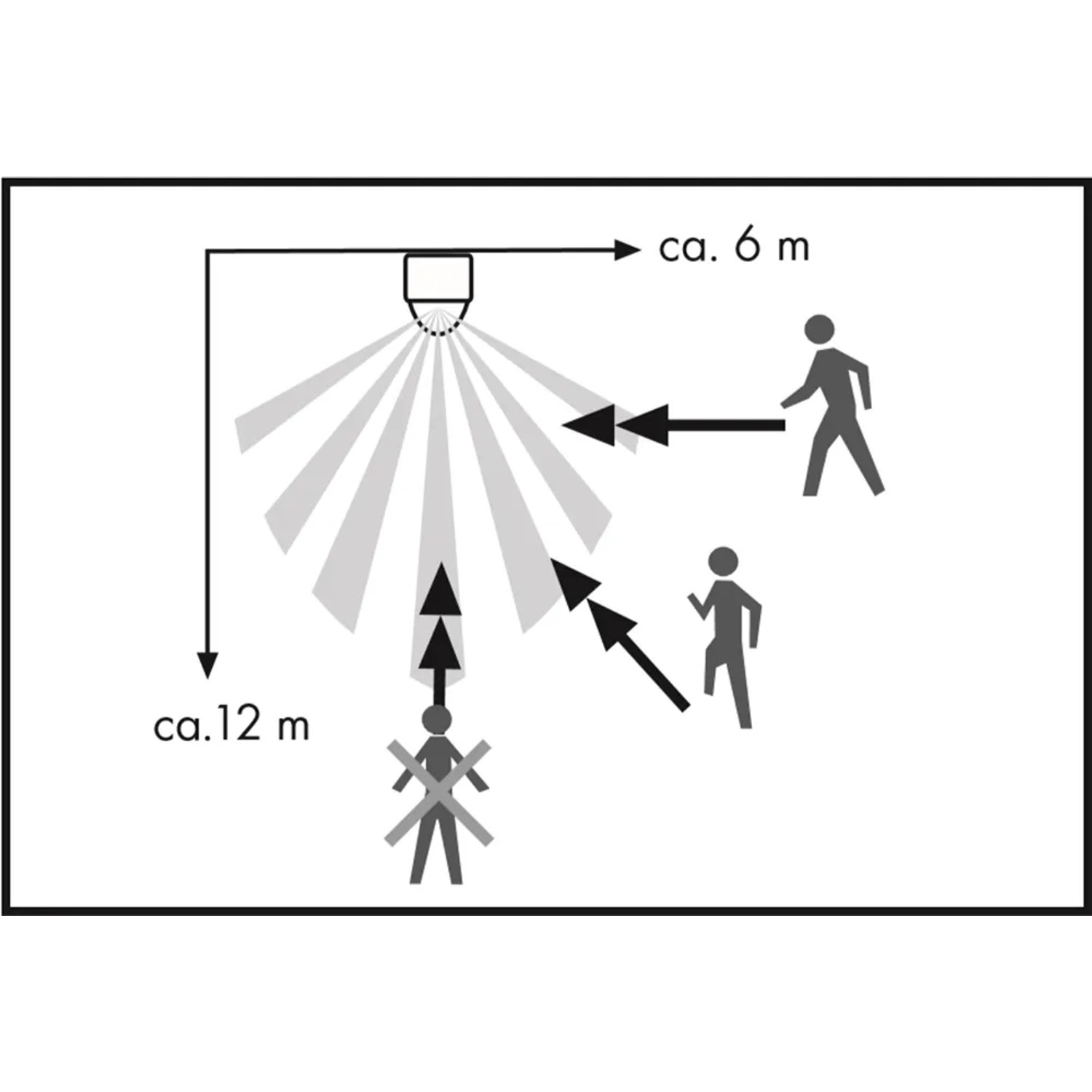 Schema des Bewegungsmelders 180°: Erfassungsbereich und Reichweite (6-12m).
