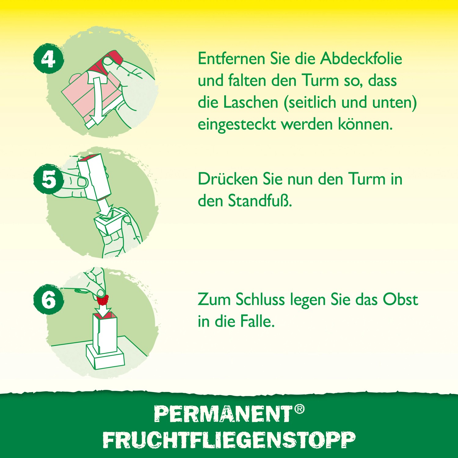 Anleitung: Neudorff Fruchtfliegenstopp Klebefalle aufbauen und mit Obst bestücken.
