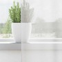 Weiße Voile Vorhänge (2 Stk.) mit Stangentaschen auf Fensterbank mit Pflanze.