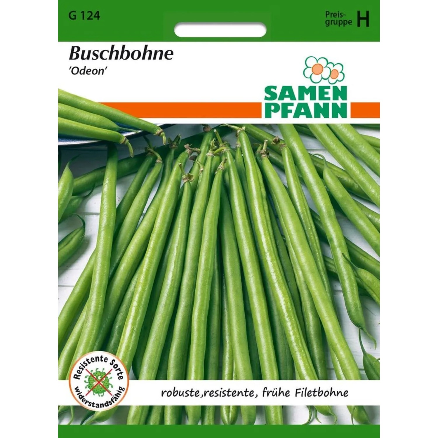 SAMEN PFANN Buschbohne Odeon