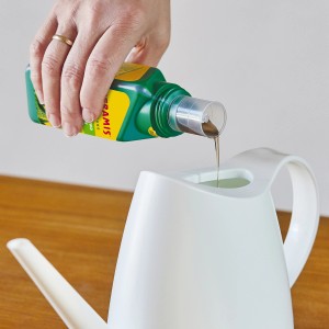 Seramis Vitalnahrung für Kakteen wird in eine Gießkanne gefüllt.