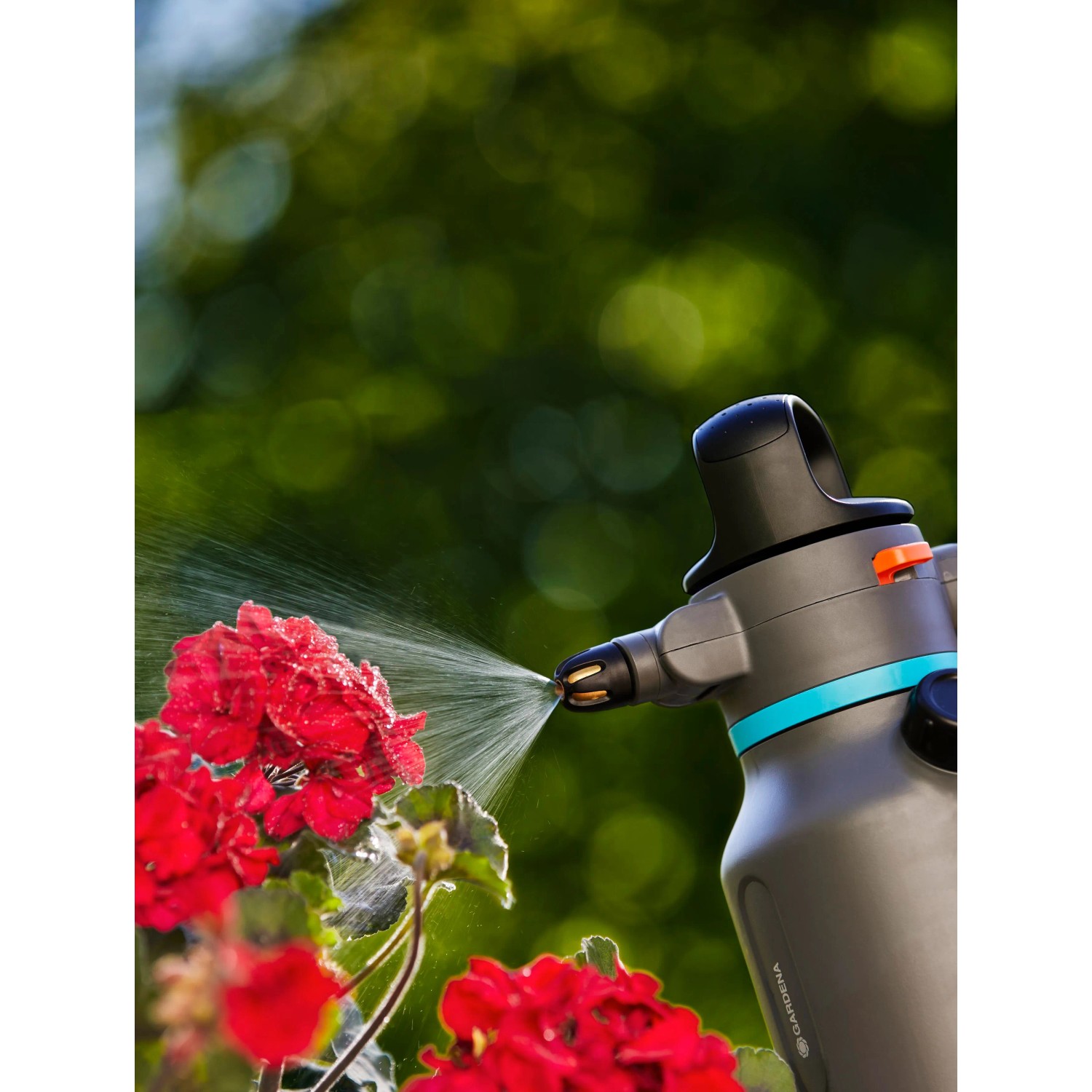 Gardena Drucksprüher 1,25 l beim Bewässern roter Blumen im Garten.